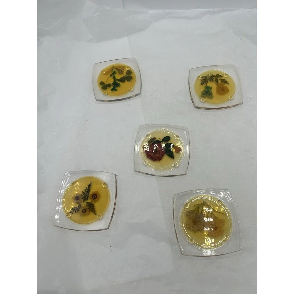 VTG Lucite Acrylic Coasters Set of 5 Dried Pressed Flowers Resin Footed MCM